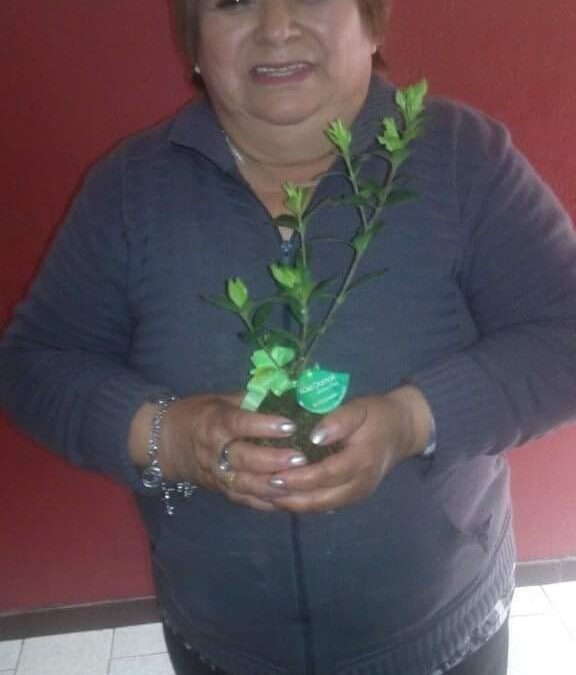 ROSA TERESITA SALINAS
